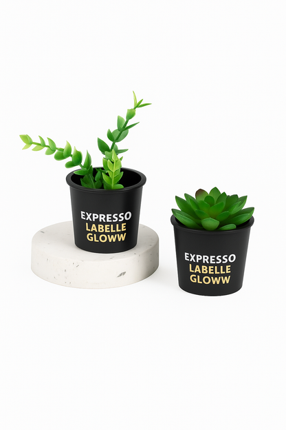 Expresso Labelle Gloww™ – Beauty Blender &amp; Plant Cup | “Plant Your Glow and Let It Grow